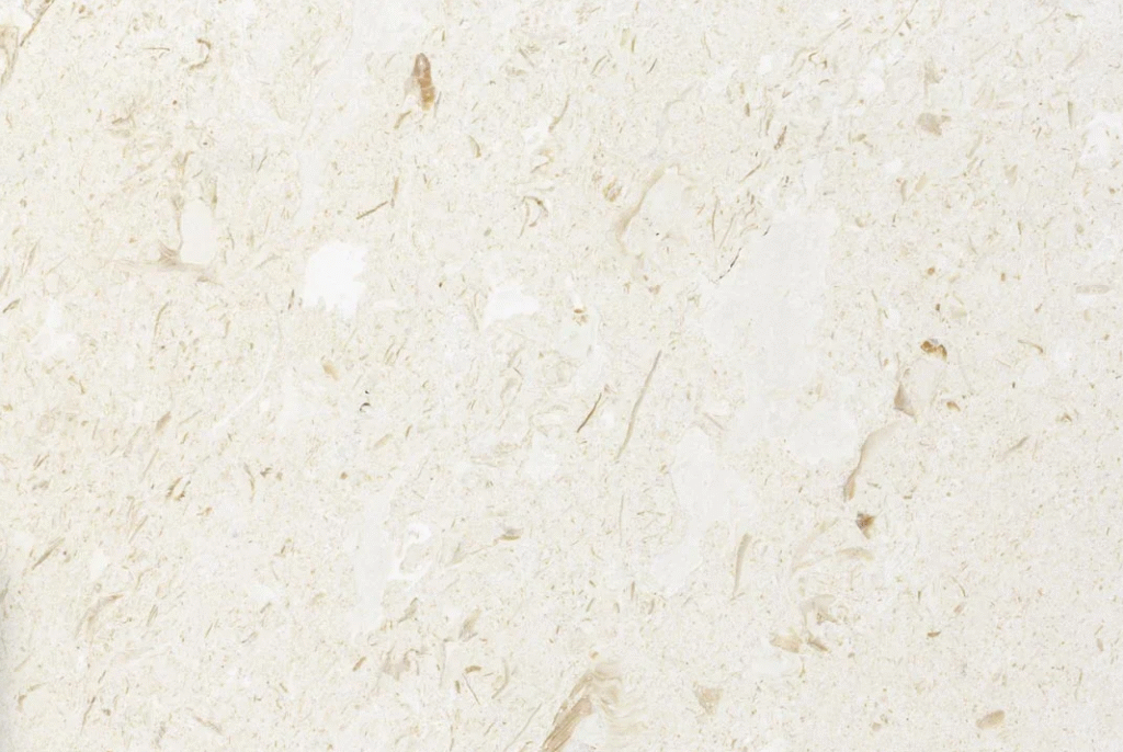 Fossil limestone